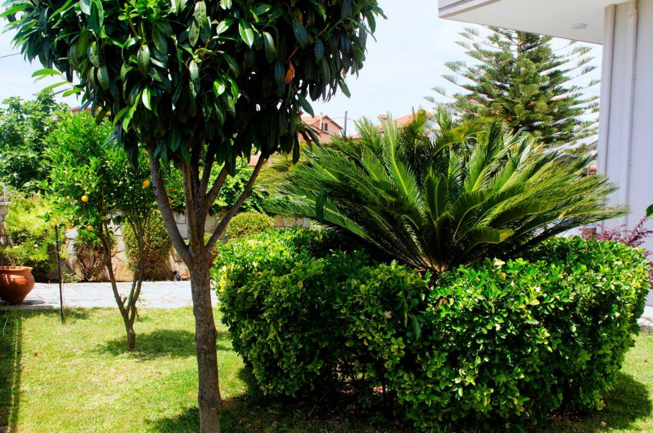Amalias Place Mytikas (Epirus) Exterior foto